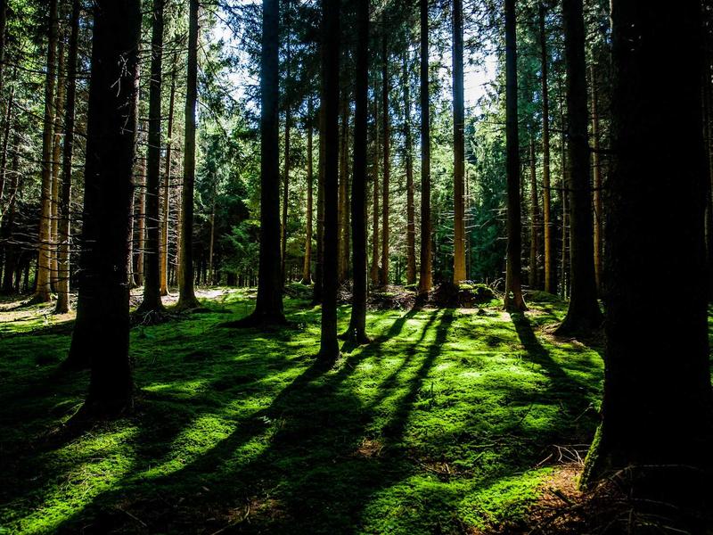 1984<br>lyv4augd.cn 老大哥在看着你